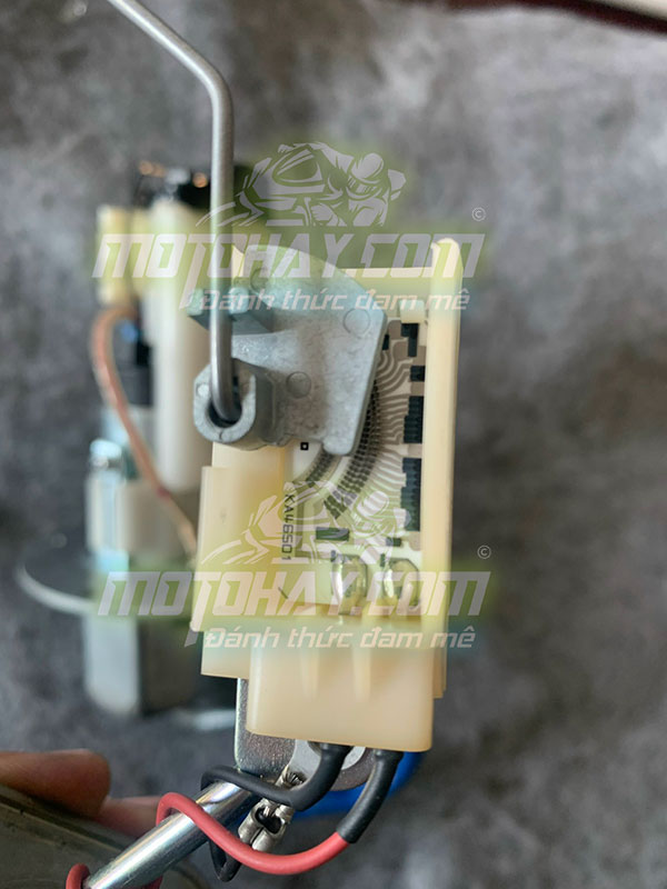 phao-xăng-z800-chinh-hang