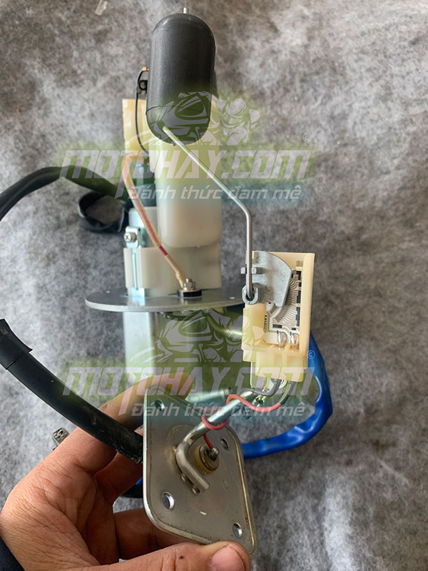 phao-xăng-z800-chinh-hang