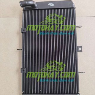 ket-nuoc-z1000-2010-2021