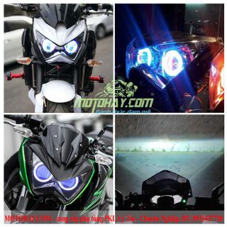 choa-den-bi-cau-z300-z800