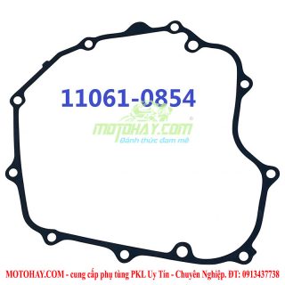 gioang-buong-con-z300-ninja300