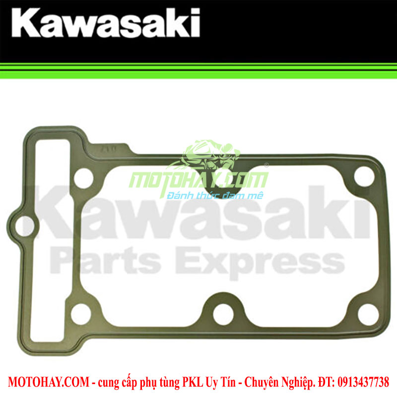 gioang-de-xi-lanh-z300-ninja300