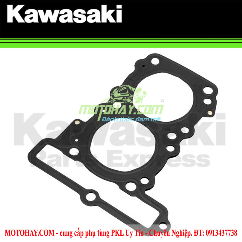 gioang-quy-lat-z300-ninja300